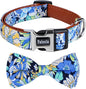 Faleela Cute Soft Girl Dog Collar by Faleela