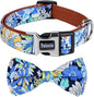 Faleela Cute Soft Girl Dog Collar by Faleela