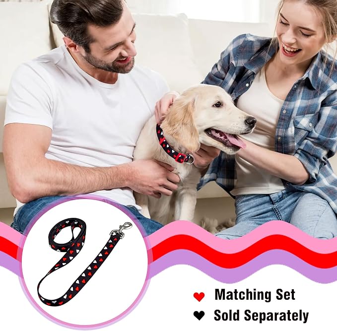 Native Pup Valentine’s Dog Collar- Valentines Day Pet Collars- Valentine Girly - Image 5