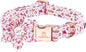 Lionheart Glory Shark Print Pink Collar by LionheartGlory