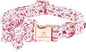 Lionheart Glory Shark Print Pink Collar by LionheartGlory