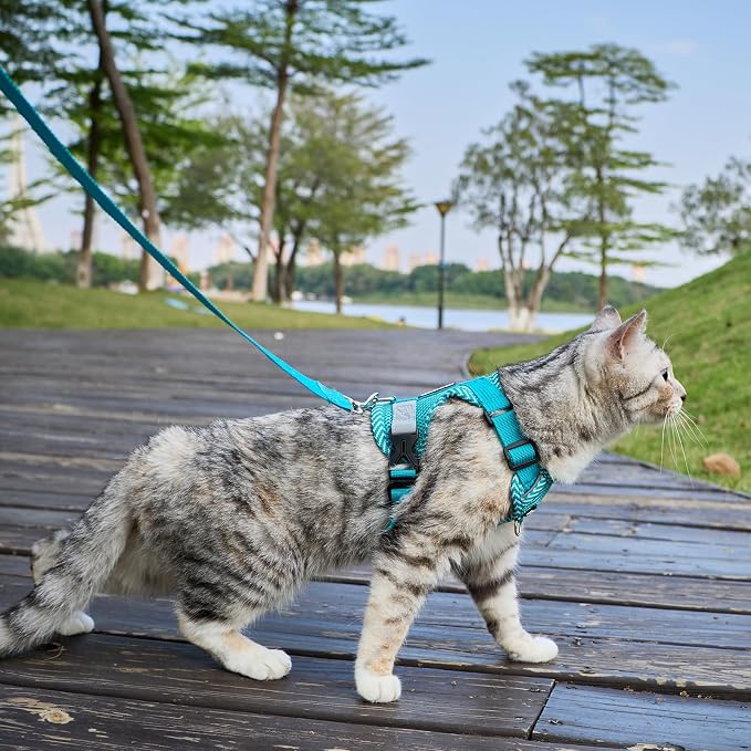 Cat Harness and Leash Escape Proof Small Kitten Harness Abyssinian Cat Vest - Image 3