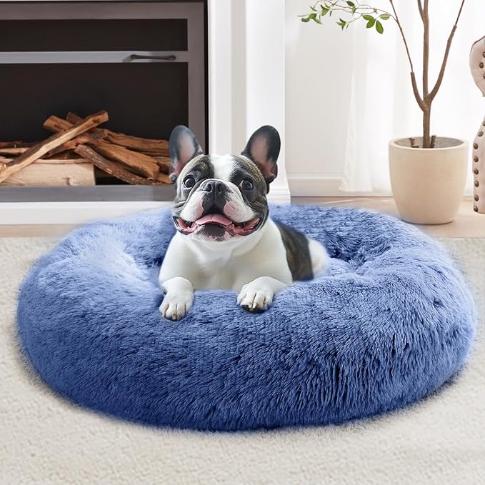JOLLYVOGUE Calming Small Dog & Cat Bed by JOLLYVOGUE
