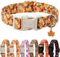 Fall Dog Collar Cute Autumn Leaves Puppy Collar by Babolepet