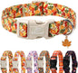Fall Dog Collar Cute Autumn Leaves Puppy Collar by Babolepet