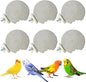 PINVNBY 6 PCS Bird Perch Parrot Beak Grinding Stone Calcium Mineral Parrot by PINVNBY