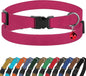 Breakaway Cat Collar Leather by BUDKAS