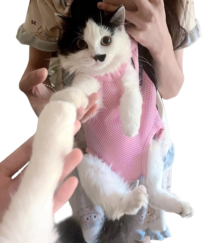 Pet Carrier Backpack - Image 4
