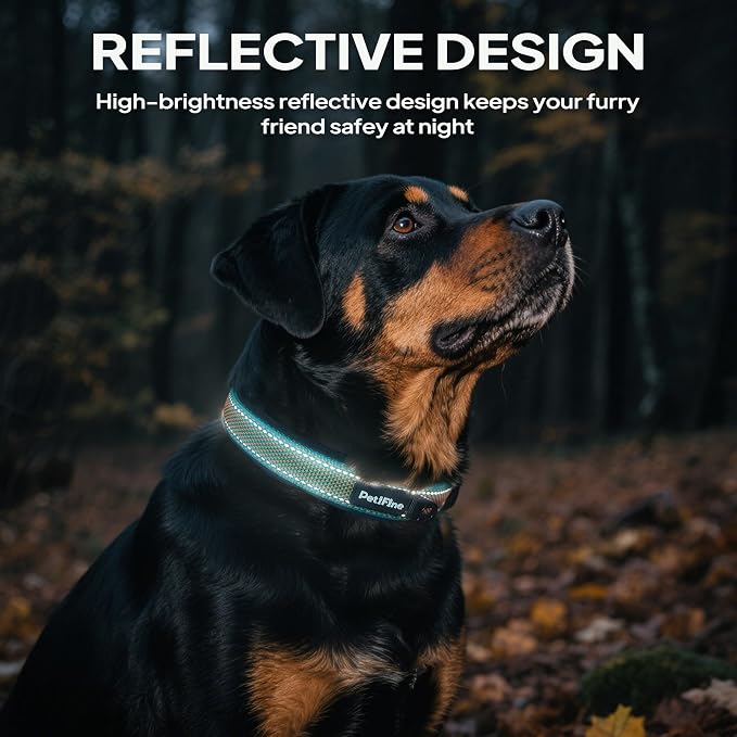 PetiFine Dog Collars for Small Dogs, Neoprene Padded and Adjustable, Reflective - Image 5