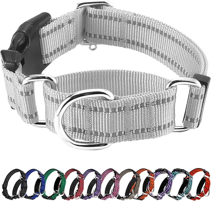 Hikiko Reflective Martingale Collar by Hikiko