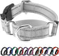 Hikiko Reflective Martingale Collar by Hikiko