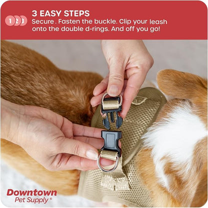 Downtown Pet Supply Step in Dog Harness - Image 5