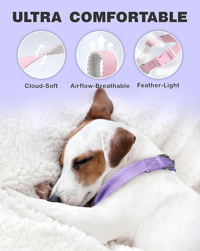 Dynmeow Soft and Breathable Cotton Dog Collar, Durable Adjustable Heavy-Duty - Image 4