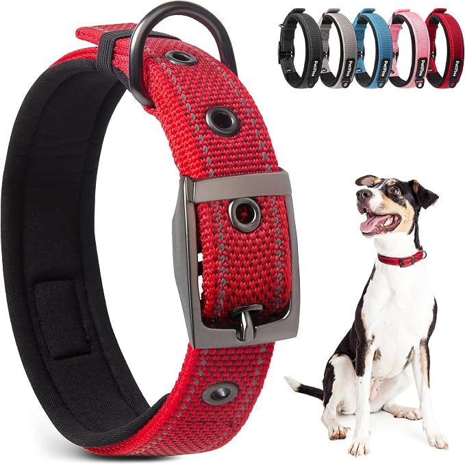 PetiFine Dog Collar with Metal Buckle, Heavy Duty Dog Collar with Soft Neoprene by PetiFine