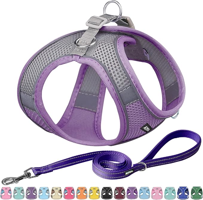 AIITLE Easy Walk Dog Harness and Leash Set by AIITLE-FORPETSBETTERLIFE