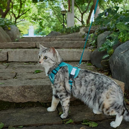 Cat Harness and Leash Escape Proof Extra Large Kitten Harness Maine Coon Cat - Image 8