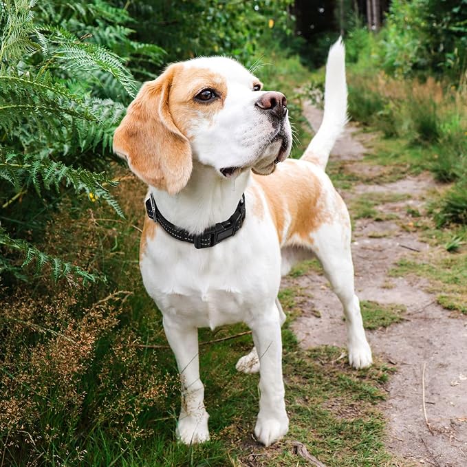 Hikiko Martingale Collar for Dogs Reflective Nylon Dog Collar - Image 2