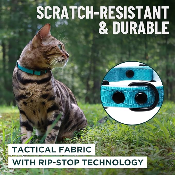 OutdoorBengal Orange Breakaway Kitten Collar - Image 4