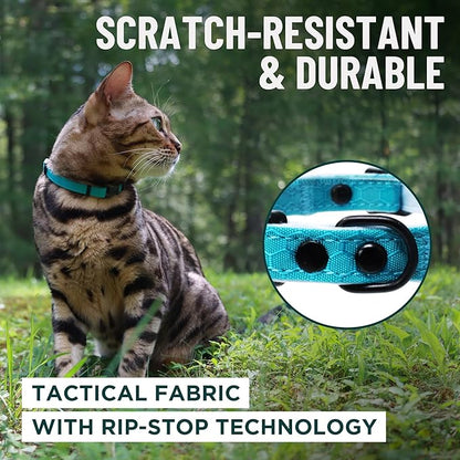 OutdoorBengal Orange Breakaway Kitten Collar - Image 4
