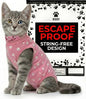 Kitten Recovery Suit Female, Kitten Onesie After Spay, Cat Surgery Suit Female by KediPetSolutions