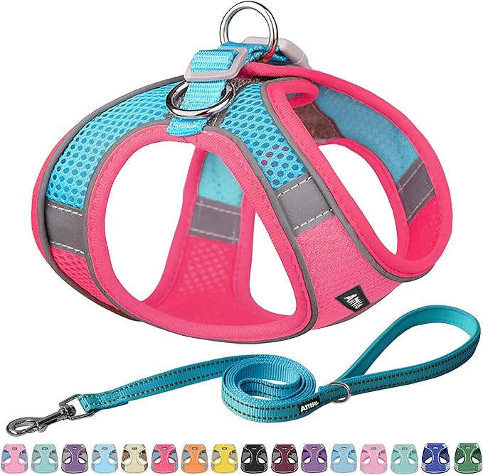 AIITLE Easy Walk Dog Harness and Leash Set by AIITLE-FORPETSBETTERLIFE