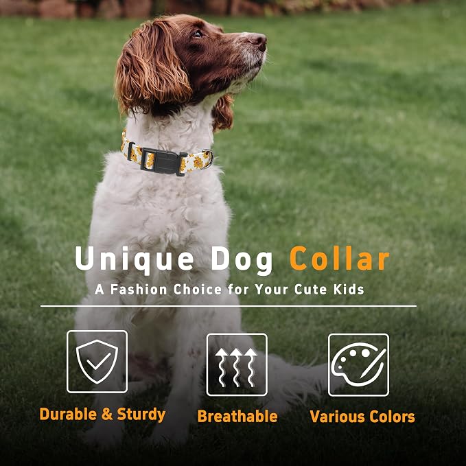 Dog Collar, Floral Boys Girls Puppy Collar - Image 5
