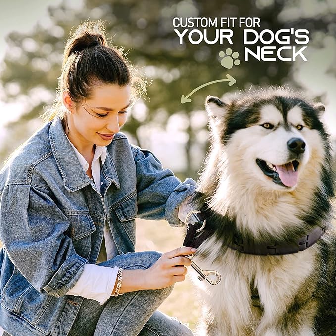 Ram-Pro Dog Training Collar Small Pinch Collar - Image 6