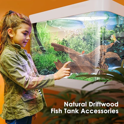 Jorewood Natural Large Aquarium Driftwood - Image 5