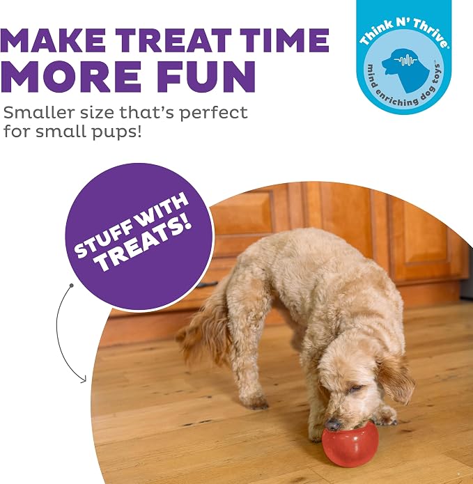 Outward Hound by Planet Dog Lil' Snoop Dog Toy – Treat‑Dispenser Puzzle Ball - Image 4