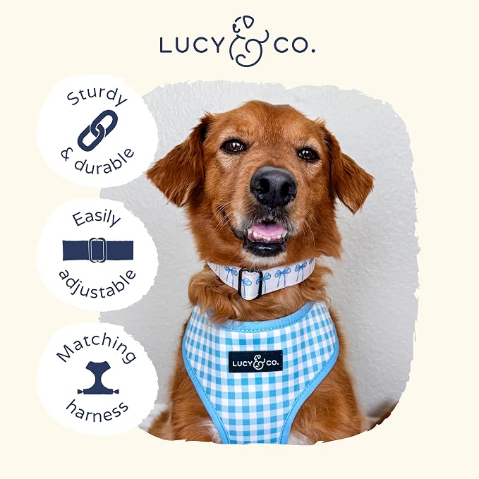 Lucy & Co. Dog Collar - Image 6