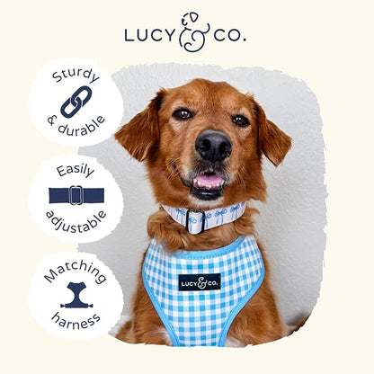 Lucy & Co. Dog Collar - Image 5