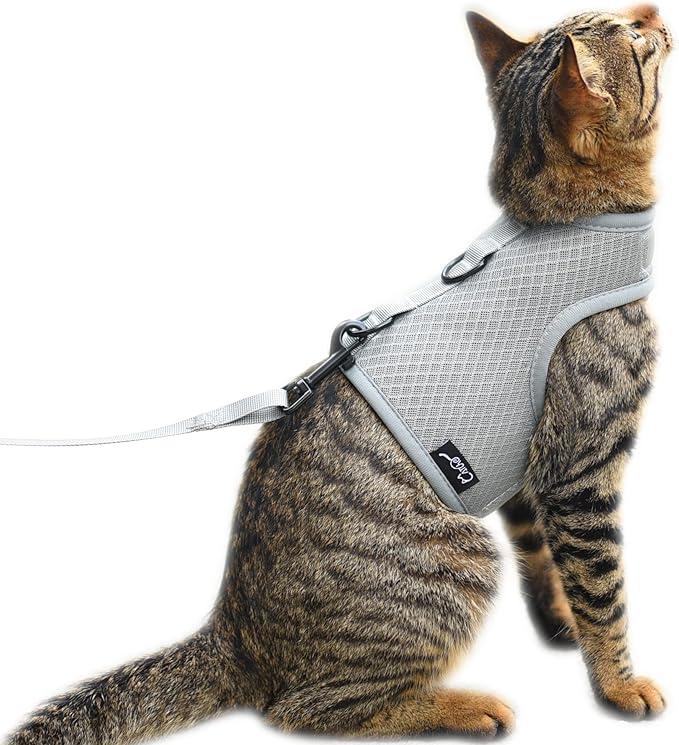 Kitty Harness and Leash for Walking Escape Proof Breathable Mesh Fabric by Yizhi+Miaow