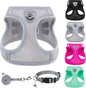 PUPTECK Adjustable Dog Harness Collar and Leash Set Step in No Pull Pet Harness by PUPTECK