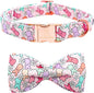 Lionheart glory Dog Bow Collar Easter Day Dog Collar by LionheartGlory