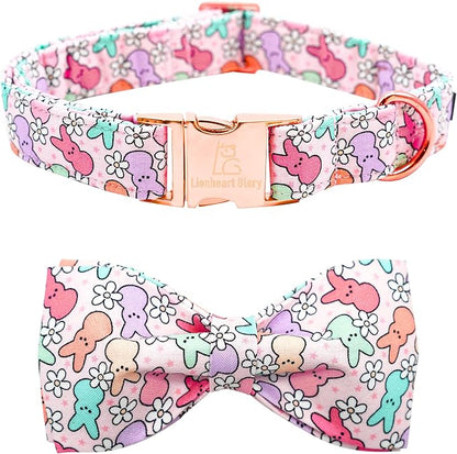 Lionheart Glory X-Small Dog & Rabbit Collar by LionheartGlory