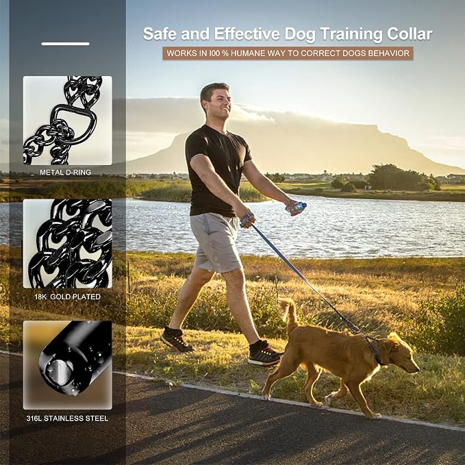 Stainless Steel Black Dog Chain Collar - Image 4