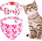 EXPAWLORER Valentines Cat Collar Breakaway by EXPAWLORER