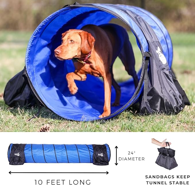 Better Sporting Dogs Complete Starter Agility Set - Image 6