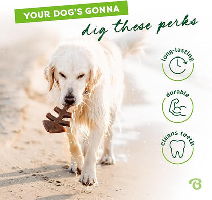 Benebone Tiny 2-Pack Fishbone Durable Dog Chew Toys, Real Fish Flavor, Made in - Image 3