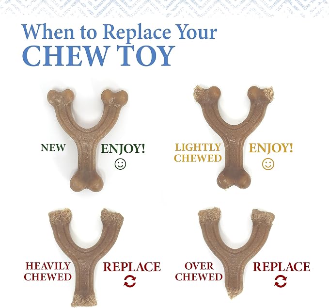 Nylabone Gourmet Style Femur Bone Strong Chew Toy - Image 11