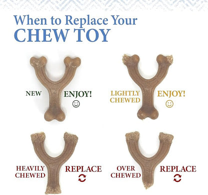 Nylabone Gourmet Style Femur & Wishbone Strong Chew Toy - Image 11