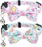 Collar for Cat Pet Breakaway by Gyapet