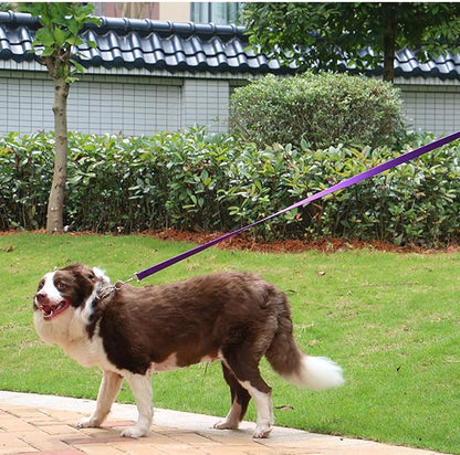 AMAGOOD Dog/Puppy Obedience Recall Training Agility Lead-15 ft 20 ft 30 ft 50 - Image 4