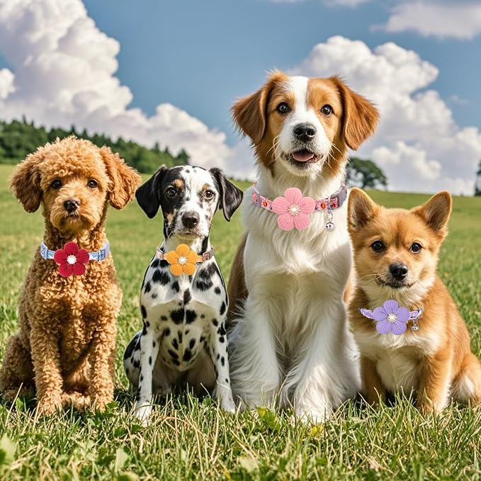 Medium Dog Collar with Flower, Dog Collars - Image 7