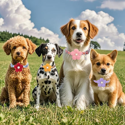 Large Dog Collar with Flower, Dog Collars - Image 7