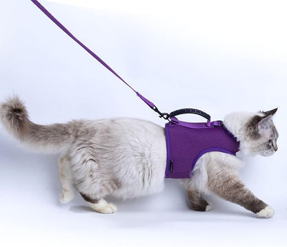 Kitty Harness and Leash for Walking Escape Proof Breathable Mesh Fabric by Yizhi+Miaow
