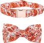 Halloween Dog Collar, Pet Collar Bow Pumpkin Pet Collar Girl Boy Holiday Pet by BoboRainbow