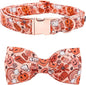 Halloween Dog Collar, Pet Collar Dog Bow Pumpkin Girl Boy Holiday Pet Collar by BoboRainbow