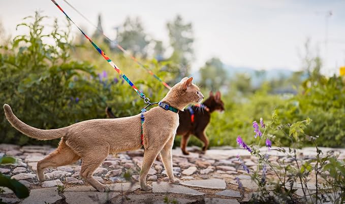 pidan Cat Harness & Leash Set, Cats Escape Proof Adjustable Kitten Harness - Image 8