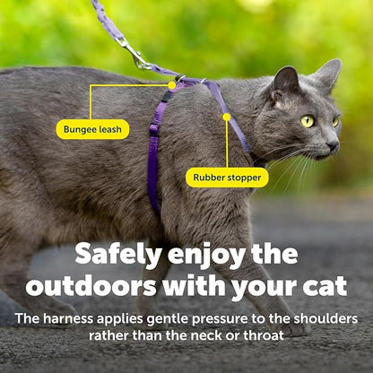 PetSafe Come With Me Kitty Cat Harness & Bungee Leash - Image 6